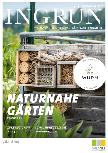 INGRÜN 01/2026